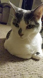 cicismil3 profile photo