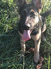 lxb52420 profile photo