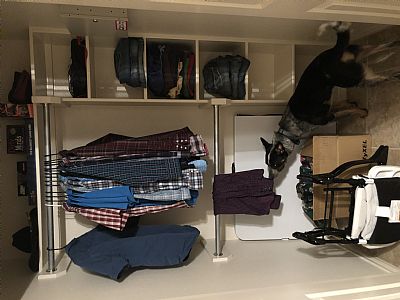 HayleyH profile photo