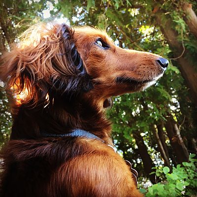 Alexia92 profile photo