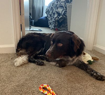 OlyviaL profile photo