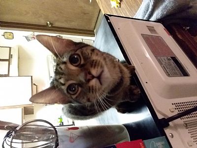 AshetonD28 profile photo