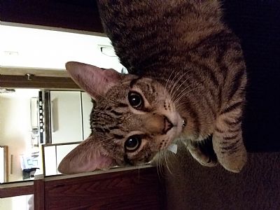 AshetonD28 profile photo