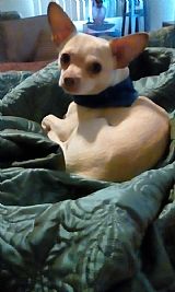 jfuentes1966 profile photo