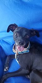 A.cruz017 profile photo