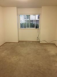 JohannaFay profile photo