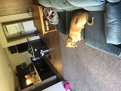 kkgrinnell profile photo