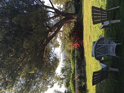 niceneighbor profile photo