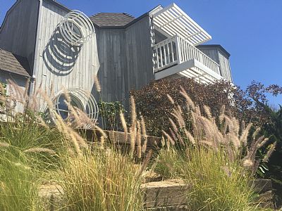 niceneighbor profile photo