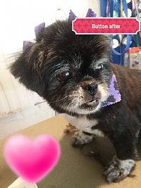 shiloY1 profile photo