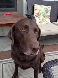 Bajastyle profile photo