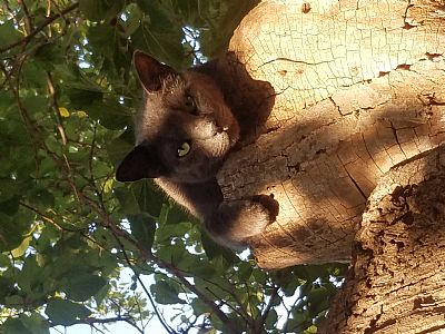 ZachaD profile photo