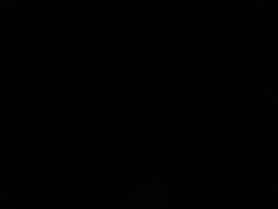 Belsfgbn profile photo