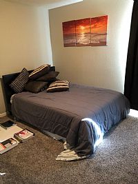 foxtrotters4me profile photo