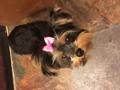 Jodiecherise profile photo