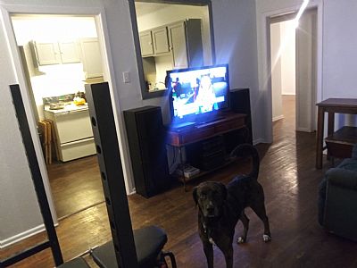 Tgbrown95 profile photo