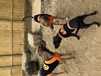 Kjj_77 profile photo