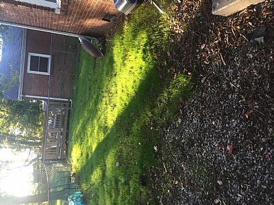 gweise00 profile photo