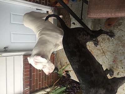 gweise00 profile photo