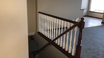 hanisch_t profile photo