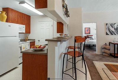 davidpolk profile photo