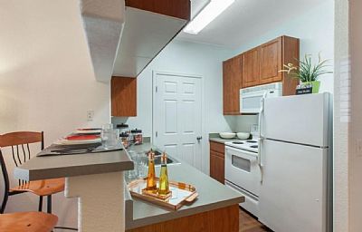 davidpolk profile photo