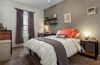 davidpolk profile photo