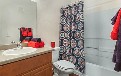 davidpolk profile photo