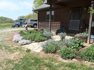 mariapaz profile photo