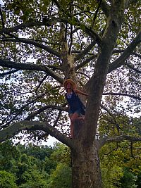 eclecticstringb profile photo