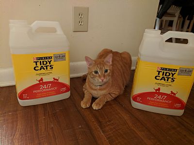 MadisonGard profile photo