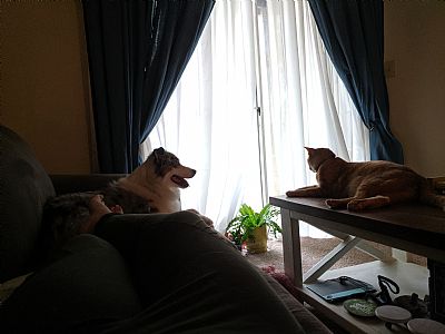 MadisonGard profile photo