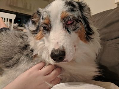 MadisonGard profile photo