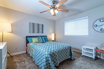 vancev profile photo