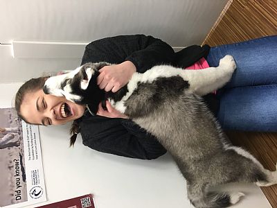 taylorb320 profile photo