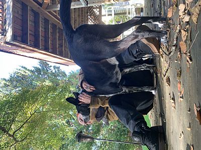 Dorimaec profile photo