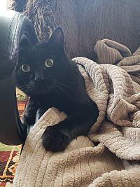 alwaysmakingart profile photo