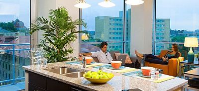 danahamed07 profile photo