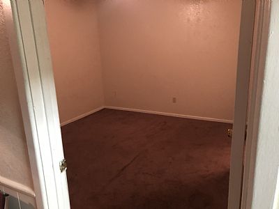 Symbioticspider profile photo