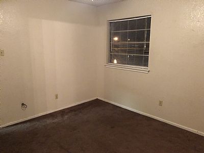 Symbioticspider profile photo