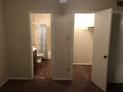 Symbioticspider profile photo