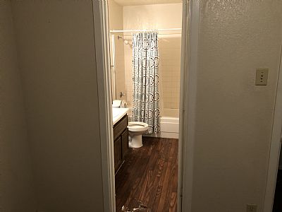 Symbioticspider profile photo