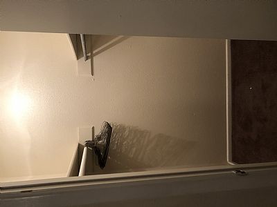 Symbioticspider profile photo