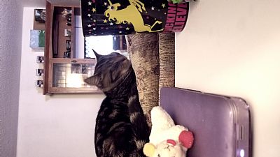 Sophster profile photo