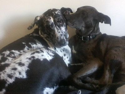 Nathannewell82 profile photo