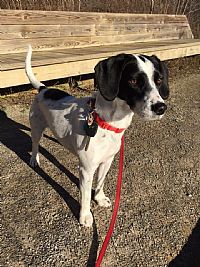 Alim92 profile photo