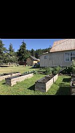 b_ledge profile photo