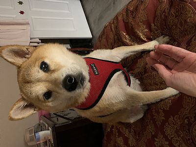 llepage10 profile photo