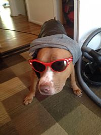 tymcman profile photo