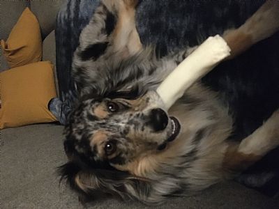 Valleej profile photo